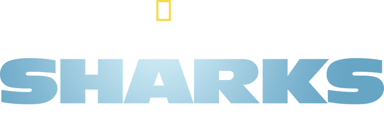 United Sharks of America