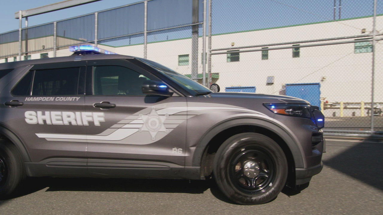 Family Lockup backdrop