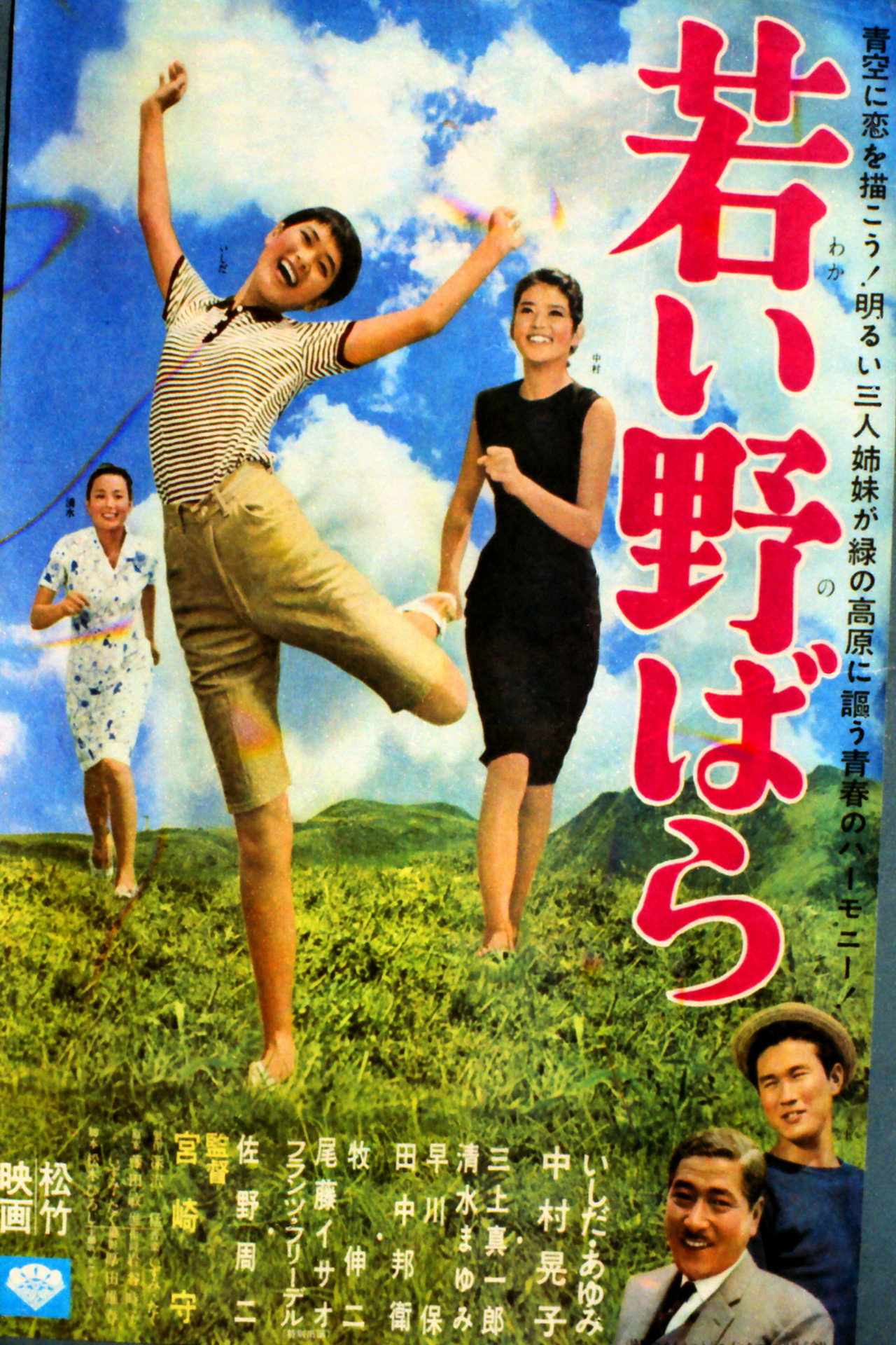 Wakai nobara