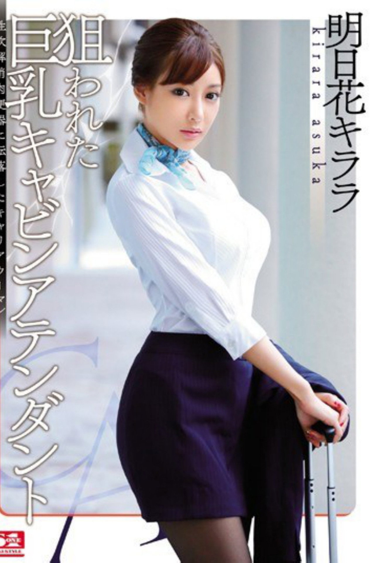 The Big-Titted Cabin Attendant is Targeted Backdrop