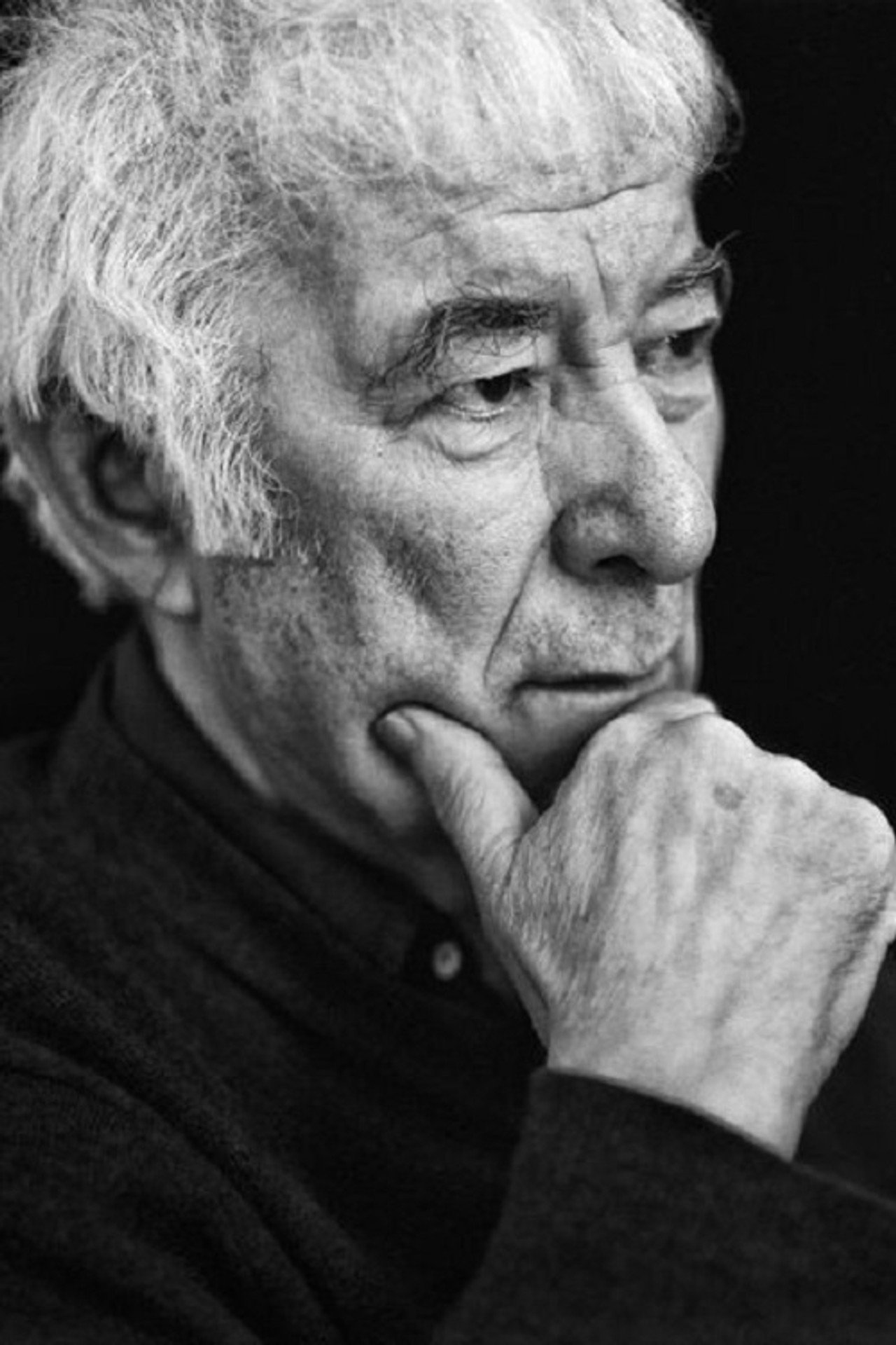 Seamus Heaney and the Music of What Happens filmaffisch