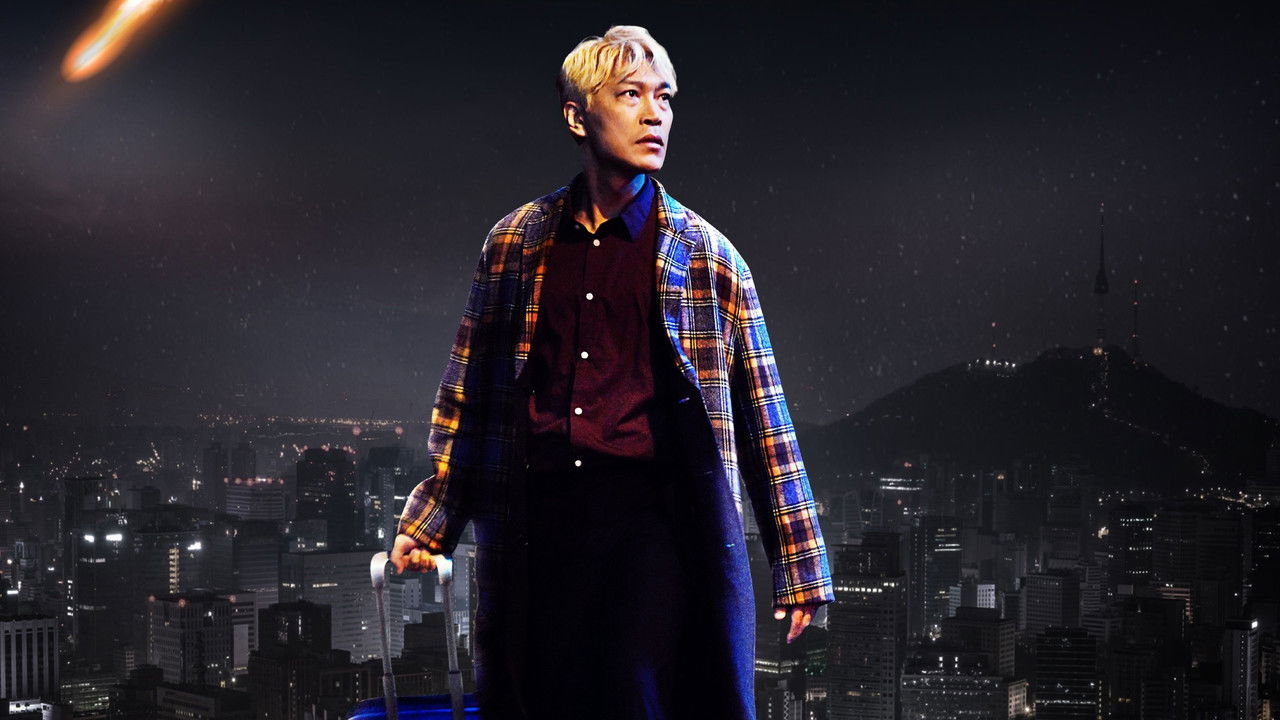 Banner Boogie Nights