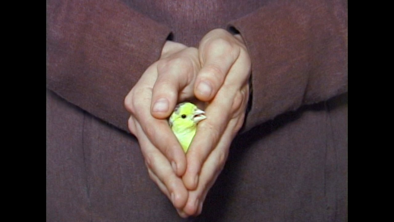 title image