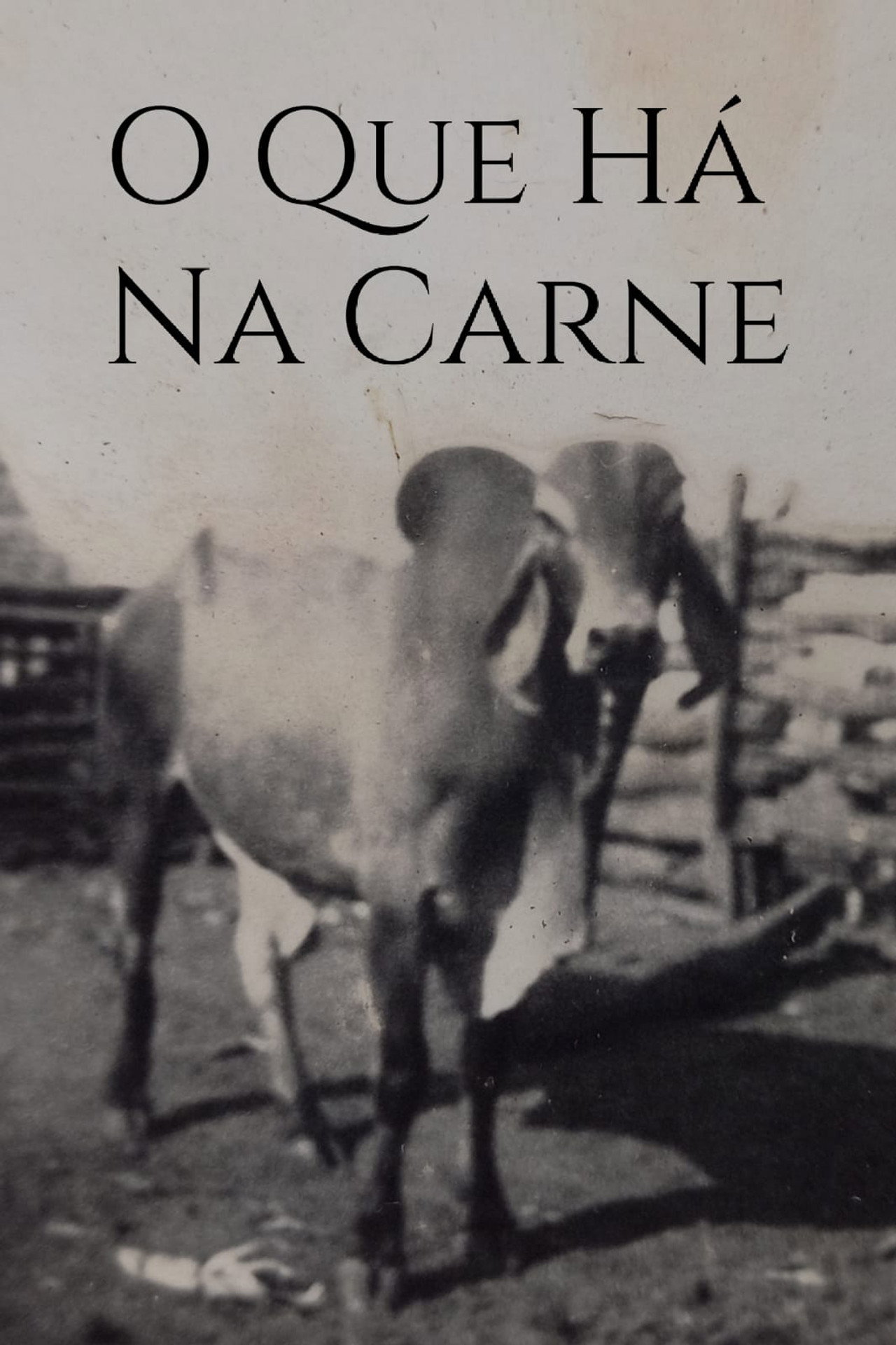 O Que Há Na Carne