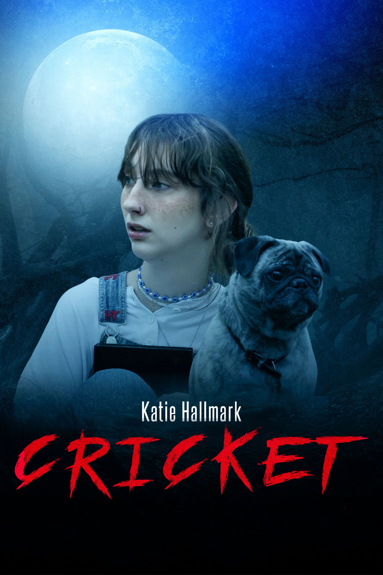 CRICKET Backdrop
