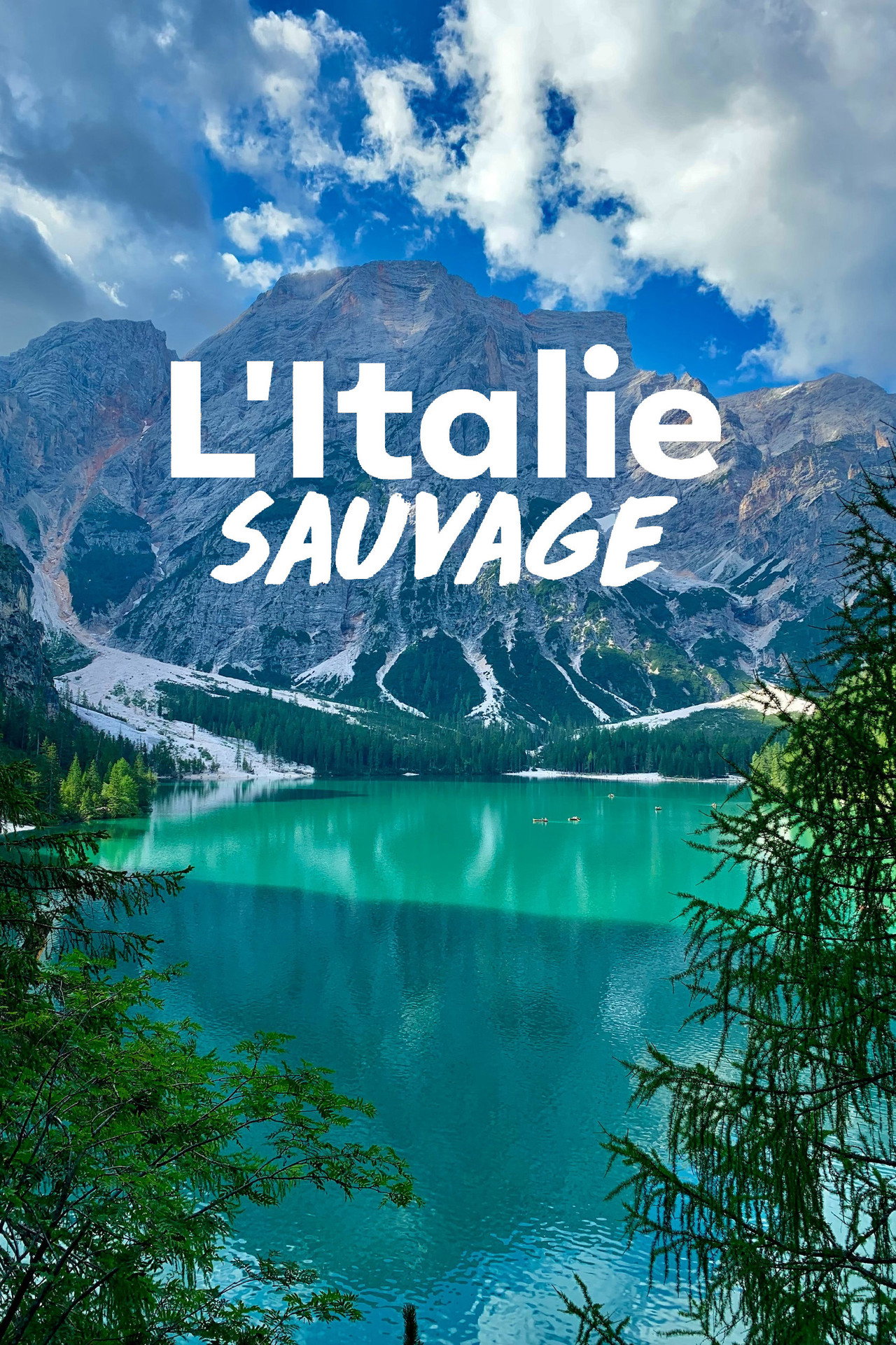 L'Italie sauvage affisch