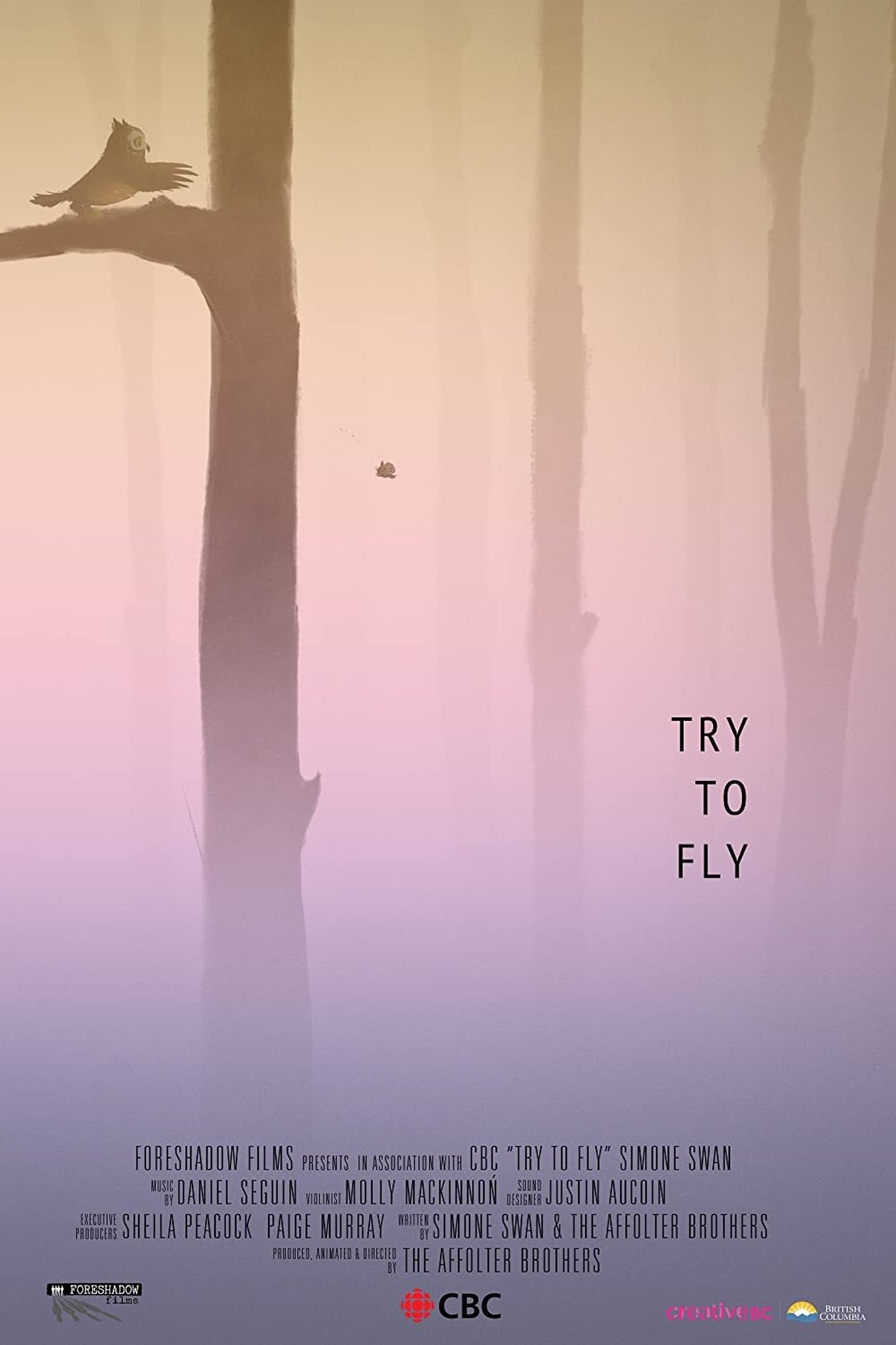 Try to Fly Try to Fly