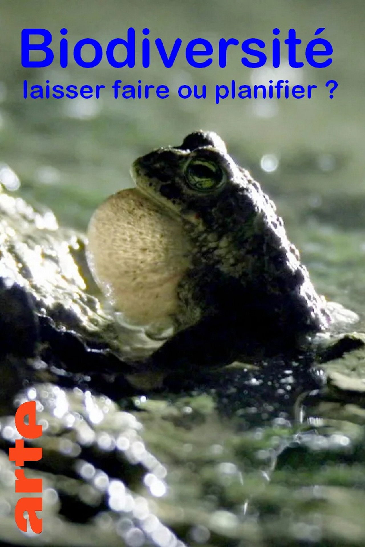 Arten schützen - aber wie? Backdrop