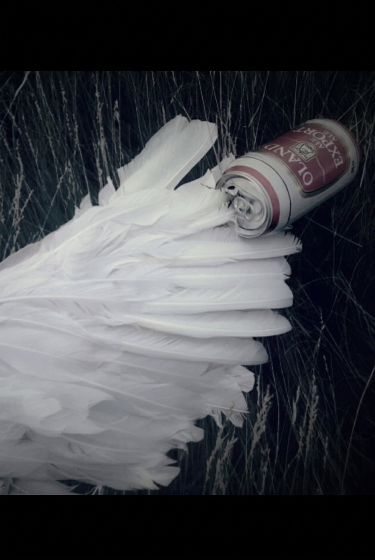 Broken Wings poster