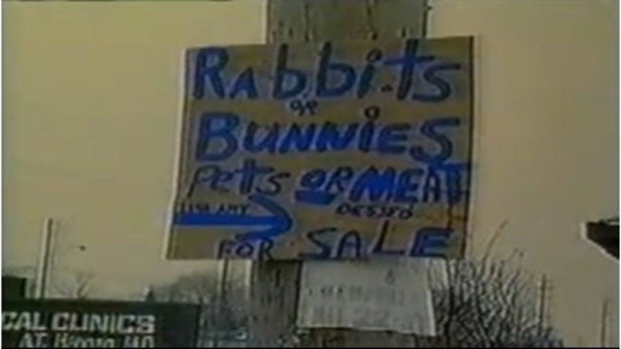 title image