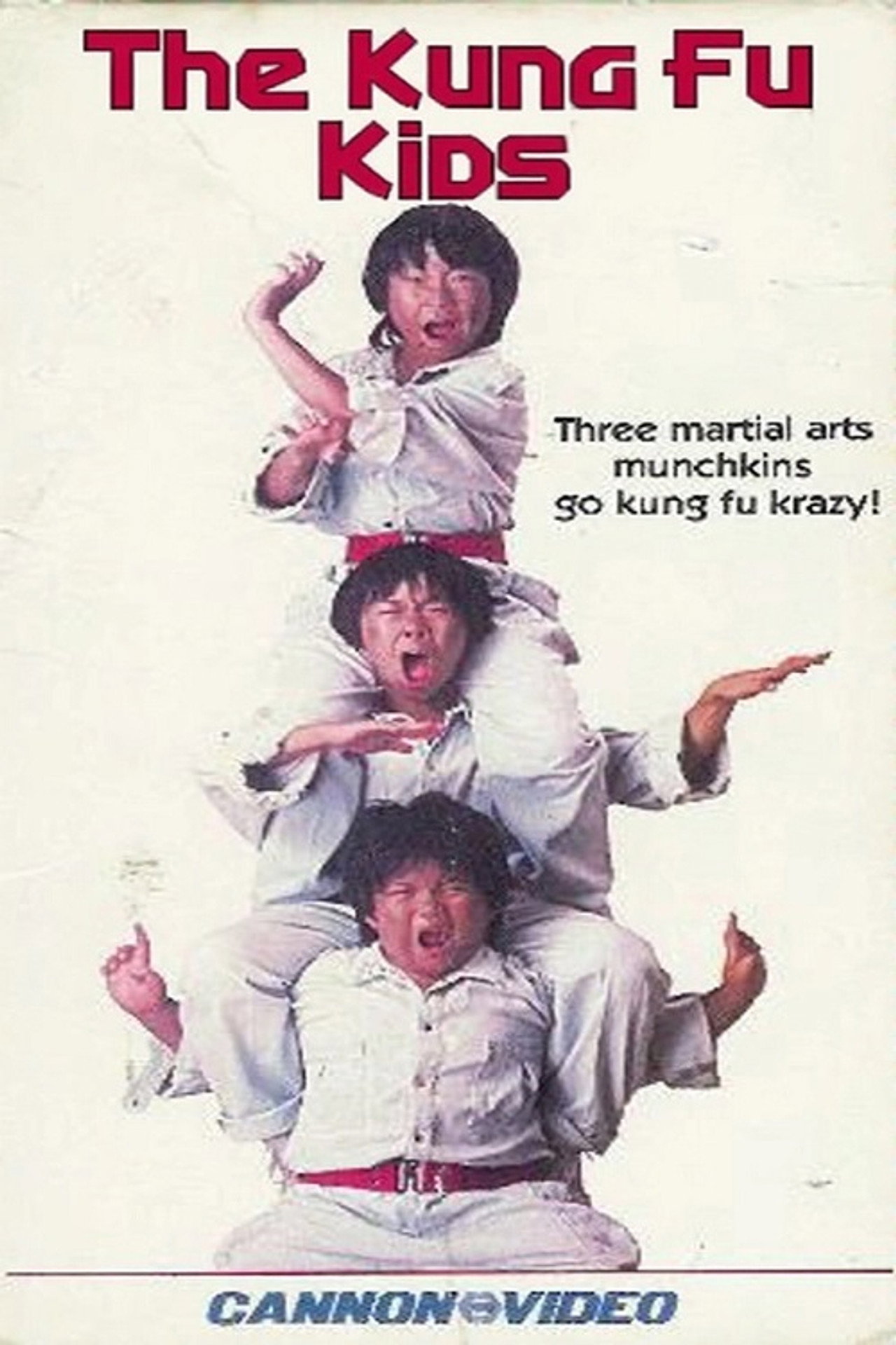 The Kung Fu Kids