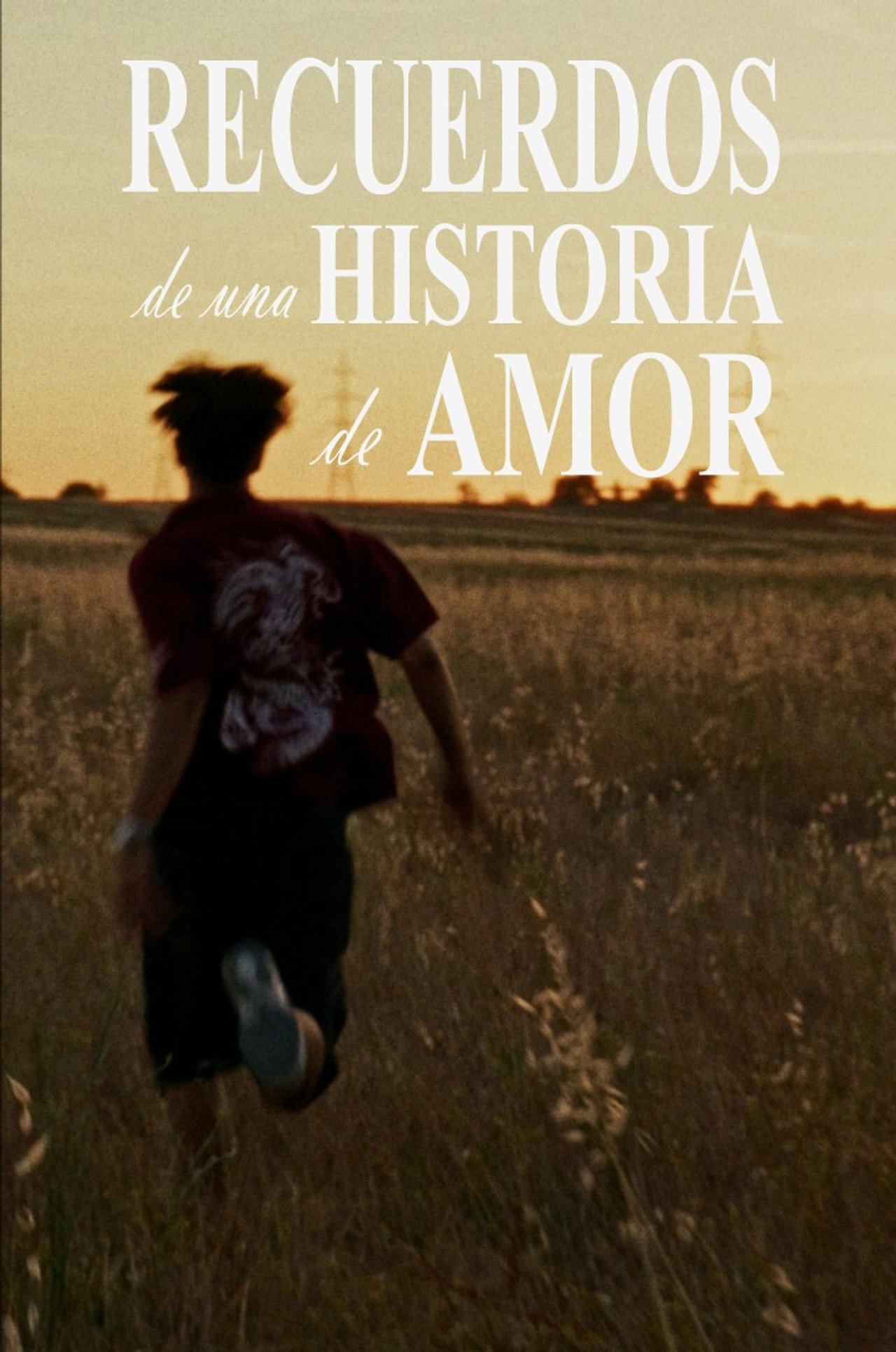 Memories of a Love Story poster
