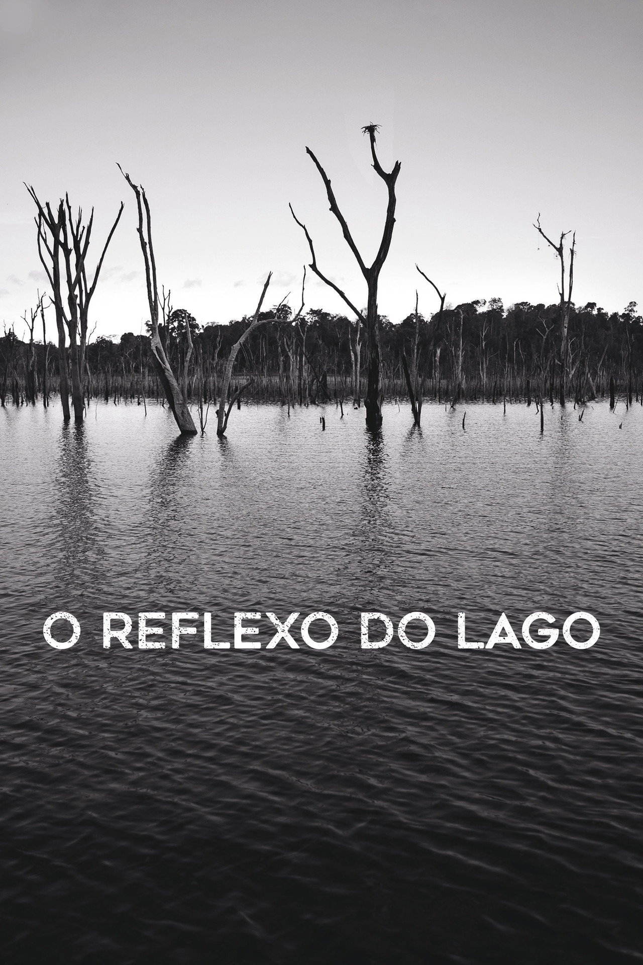 O Reflexo do Lago filmaffisch