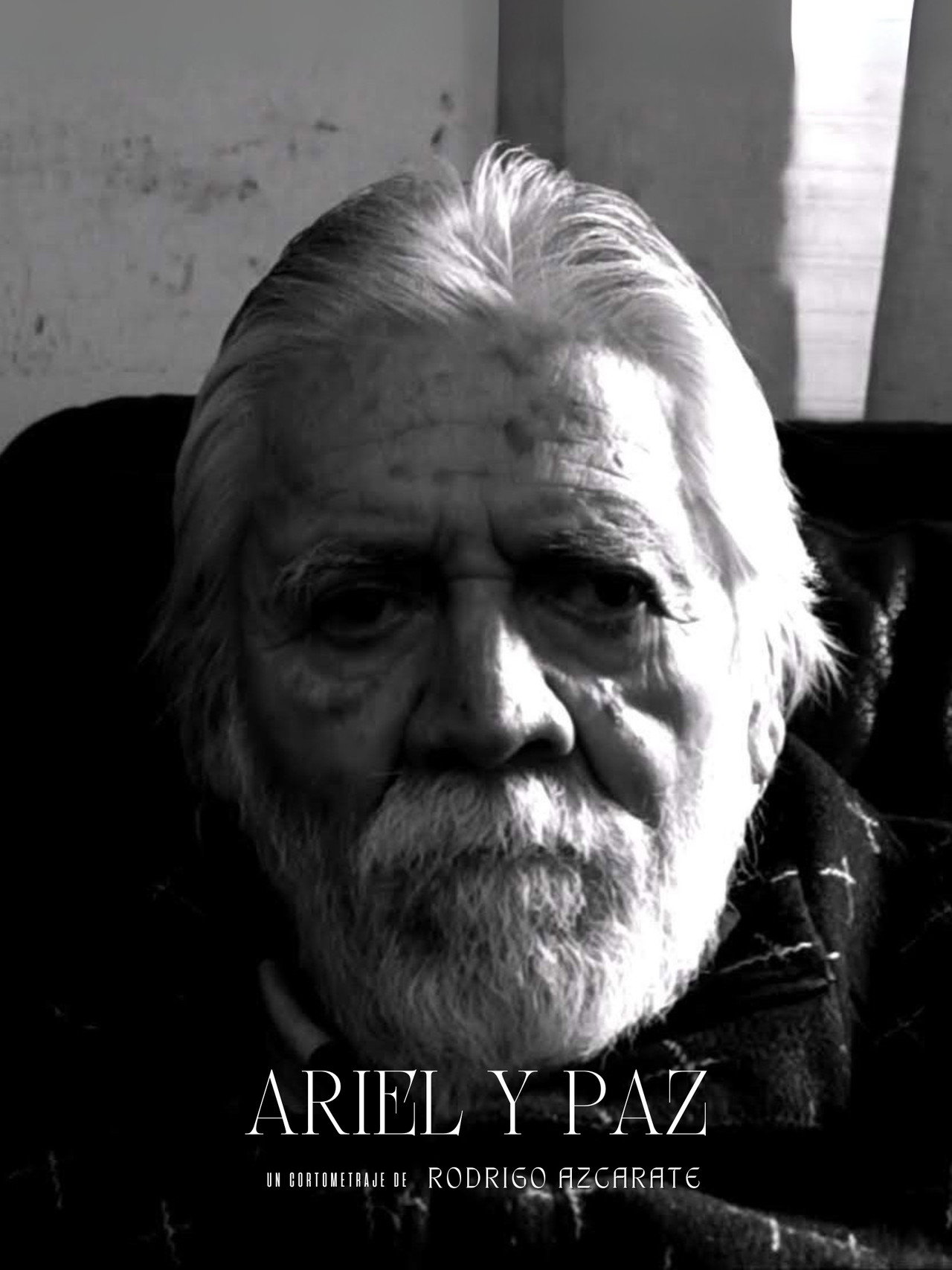 Ariel y paz filmaffisch