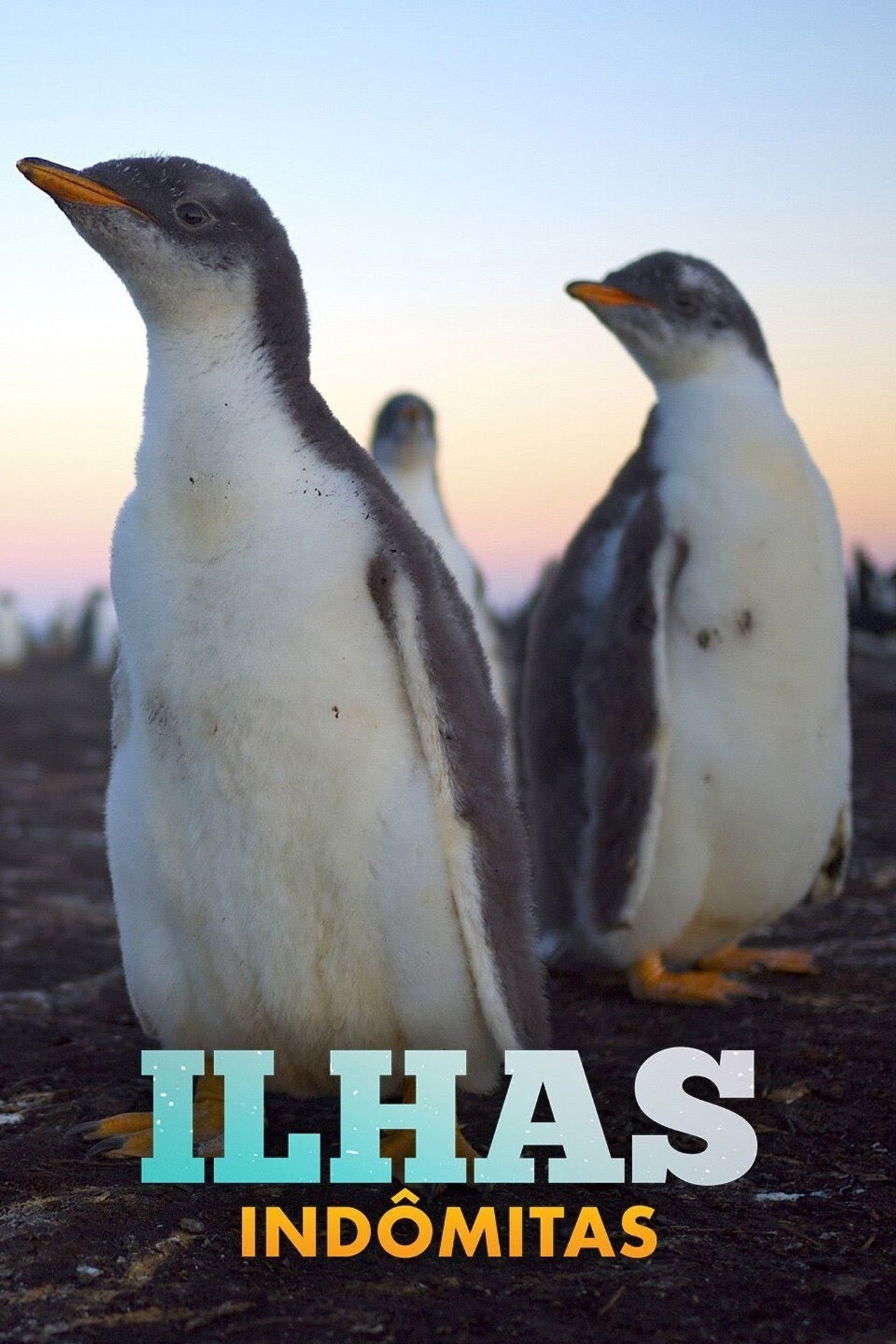 Ilhas Indômitas poster