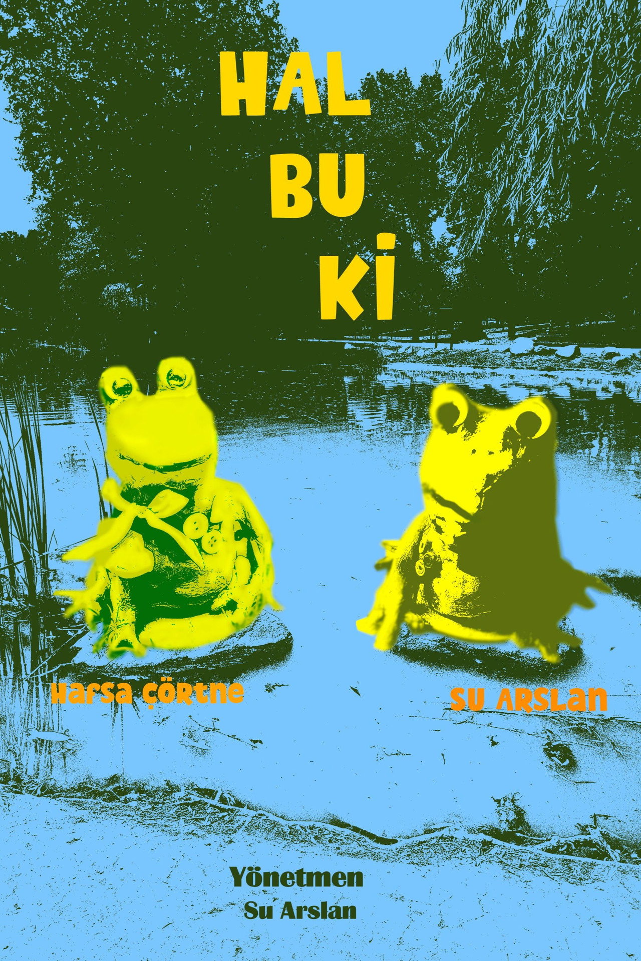 Hal Bu Ki poster