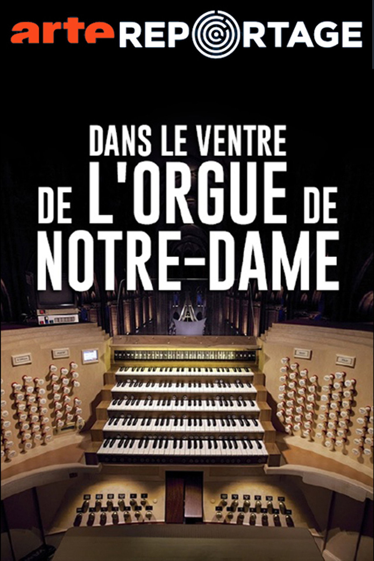 Dans le ventre de l'orgue de Notre-Dame Backdrop