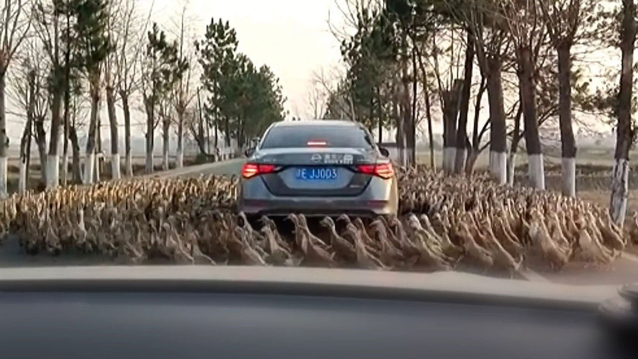 Caméras à bord — Épisode 3