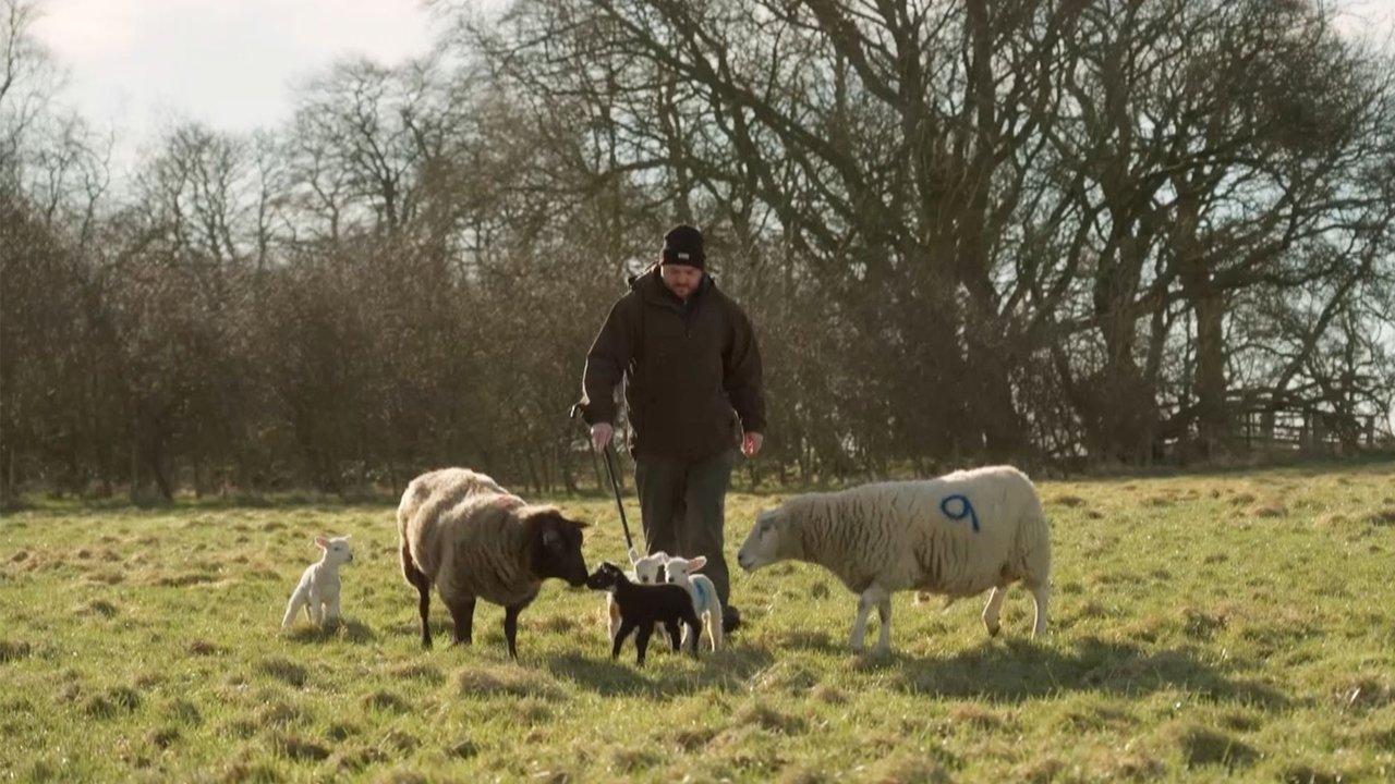 Our Dream Farm with Matt Baker - Season 1 Episode 5 : Episode 5