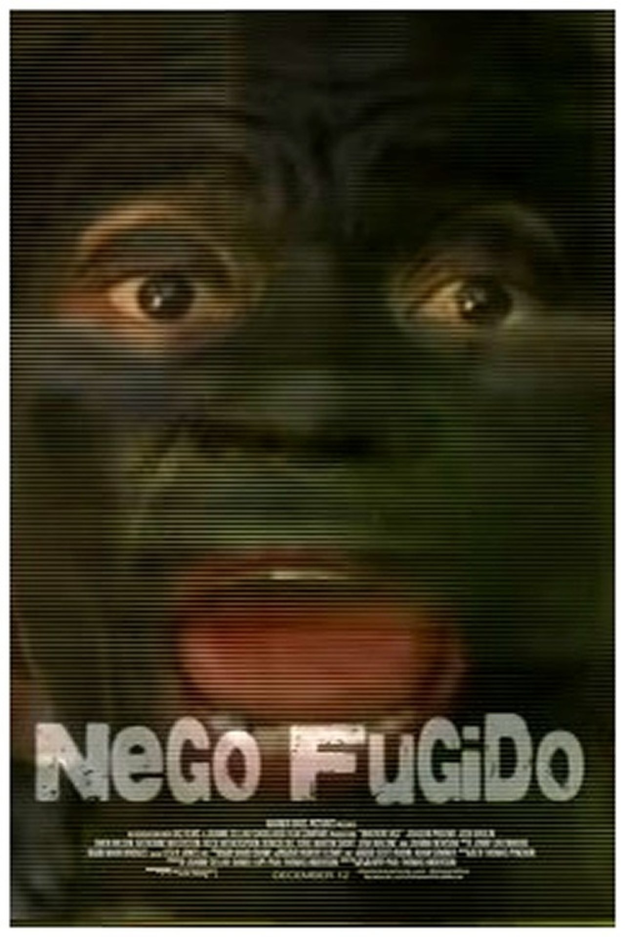 Nego Fugido 2009