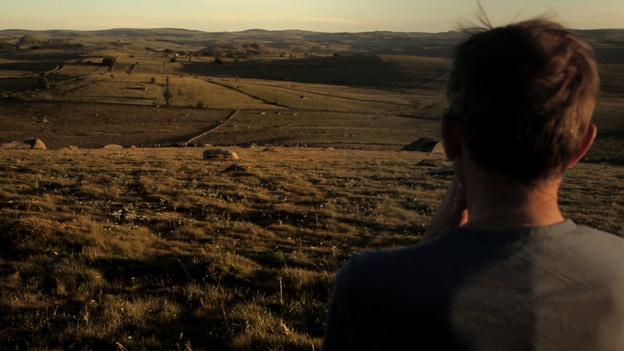 Step Up to the Plate