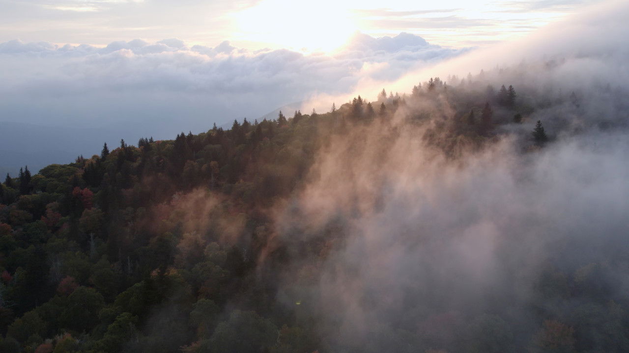 The River Runs On backdrop