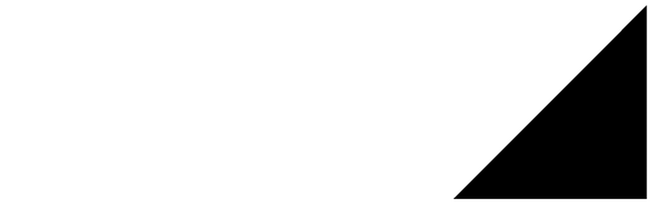 K-1 Japan Group