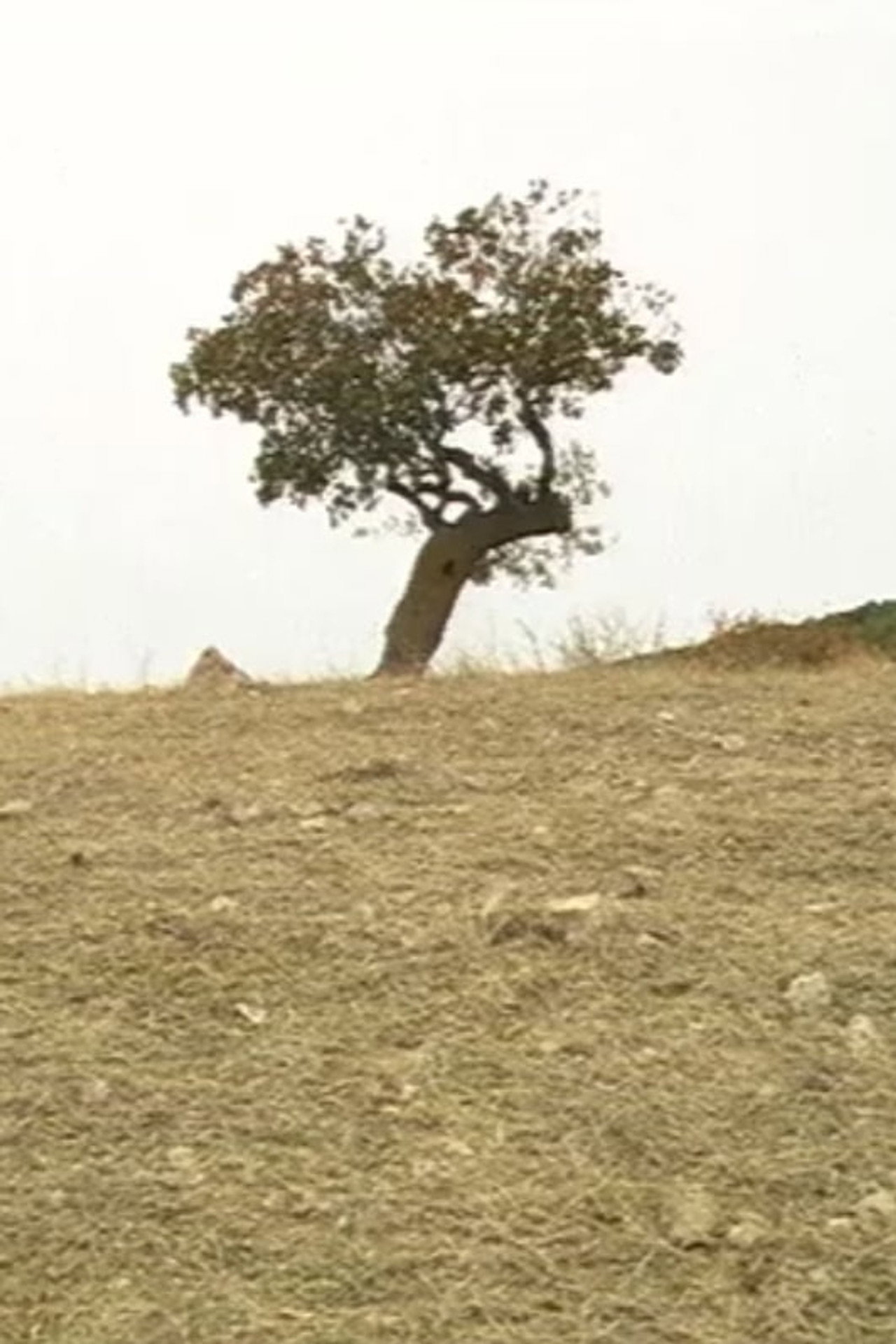 Ekim'de Hiçbir Kere filmaffisch