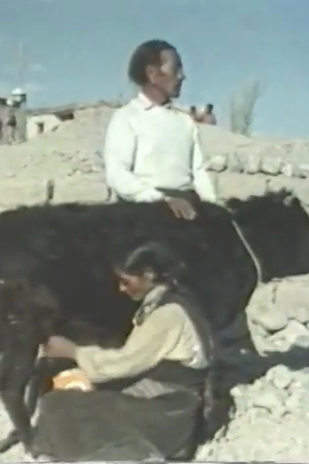 Echoes From Tibet filmaffisch