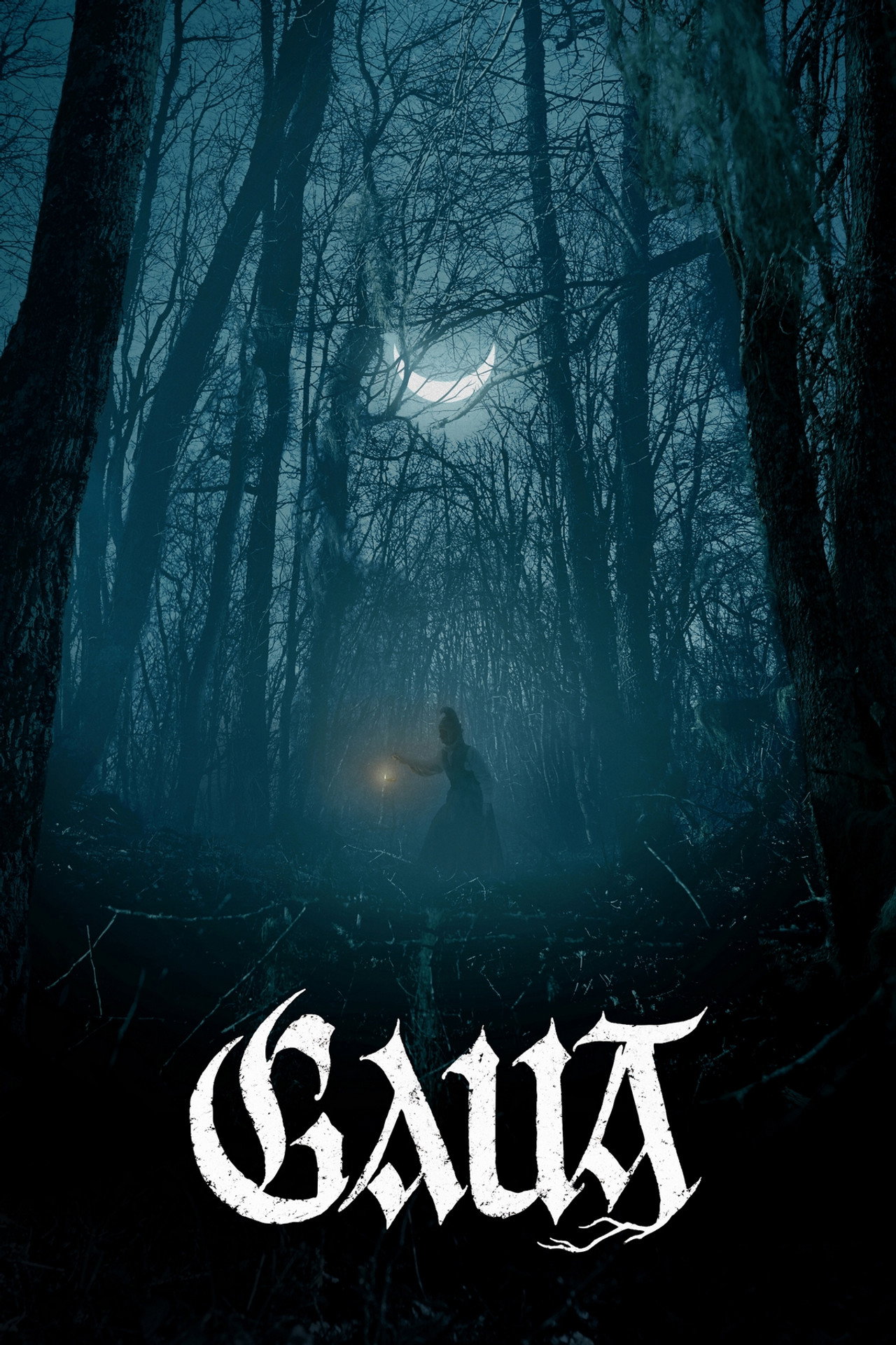 Gaua (The Night) Poster