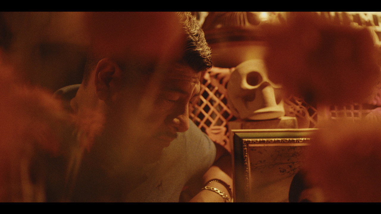 Pajarito still 11