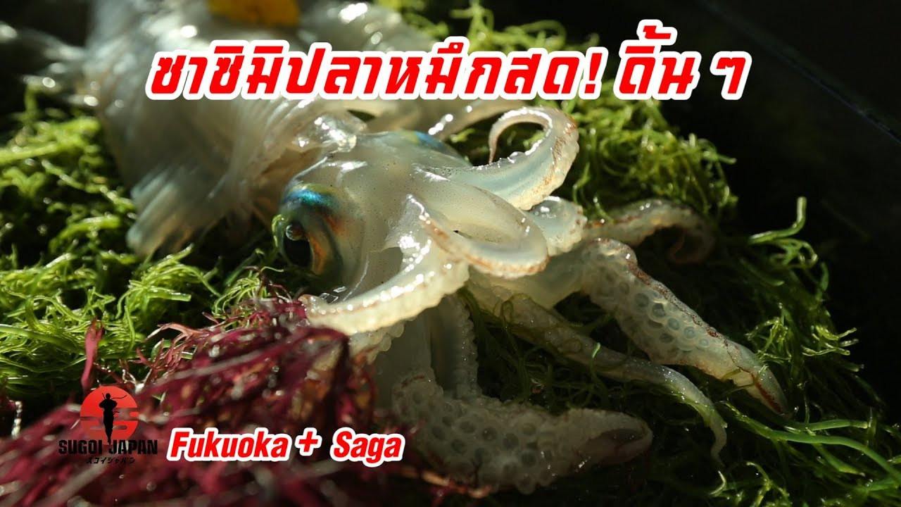 Sugoi Japan — Épisode 167