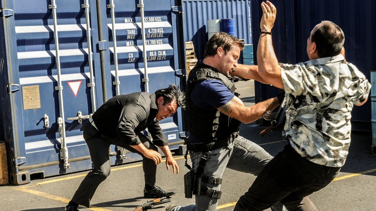 Hawaii Five-0 - Season 3 Episode 19 : Hoa Pili (Close Friends)