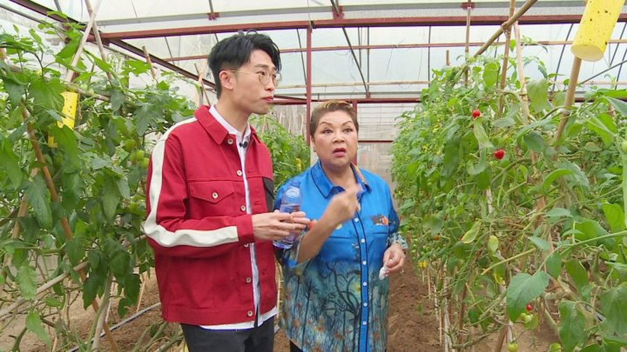 食平D — Épisode 1