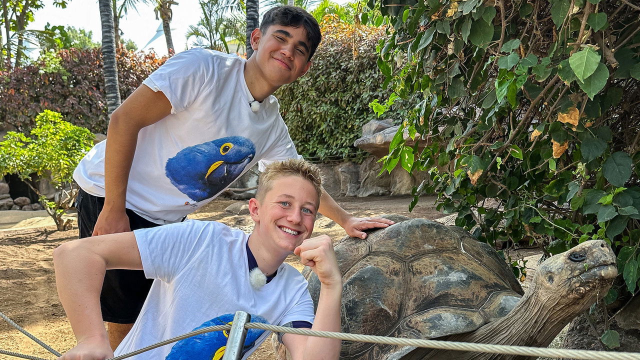 Die Jungs-WG - Season 9 Episode 3 : Episode 3