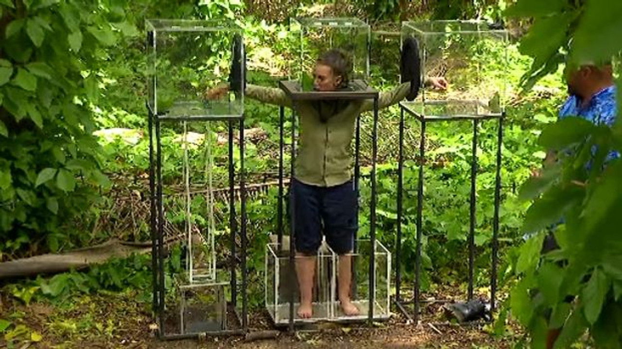 Sunt celebru, scoate-mă de aici! — Épisode 10