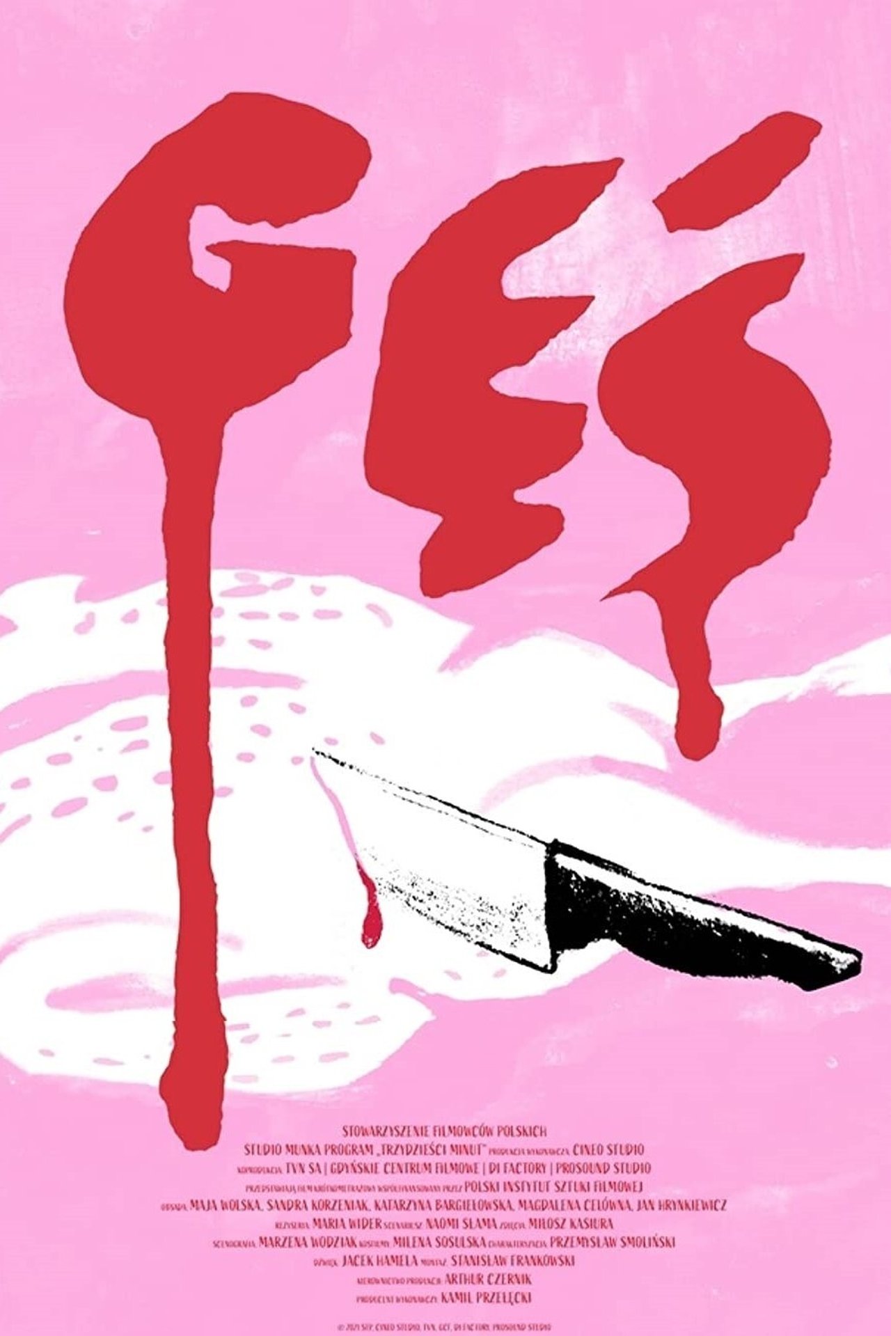 Gęś Gęś