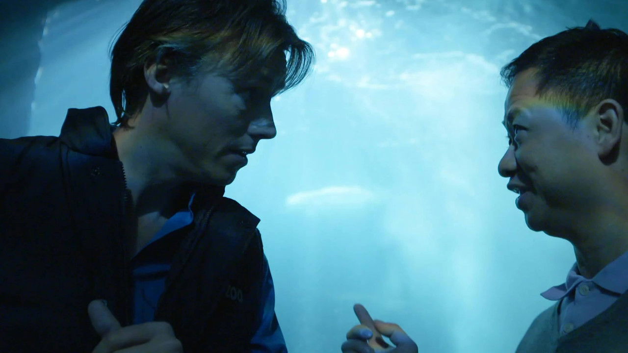 De Leeuwenkuil — Épisode 8