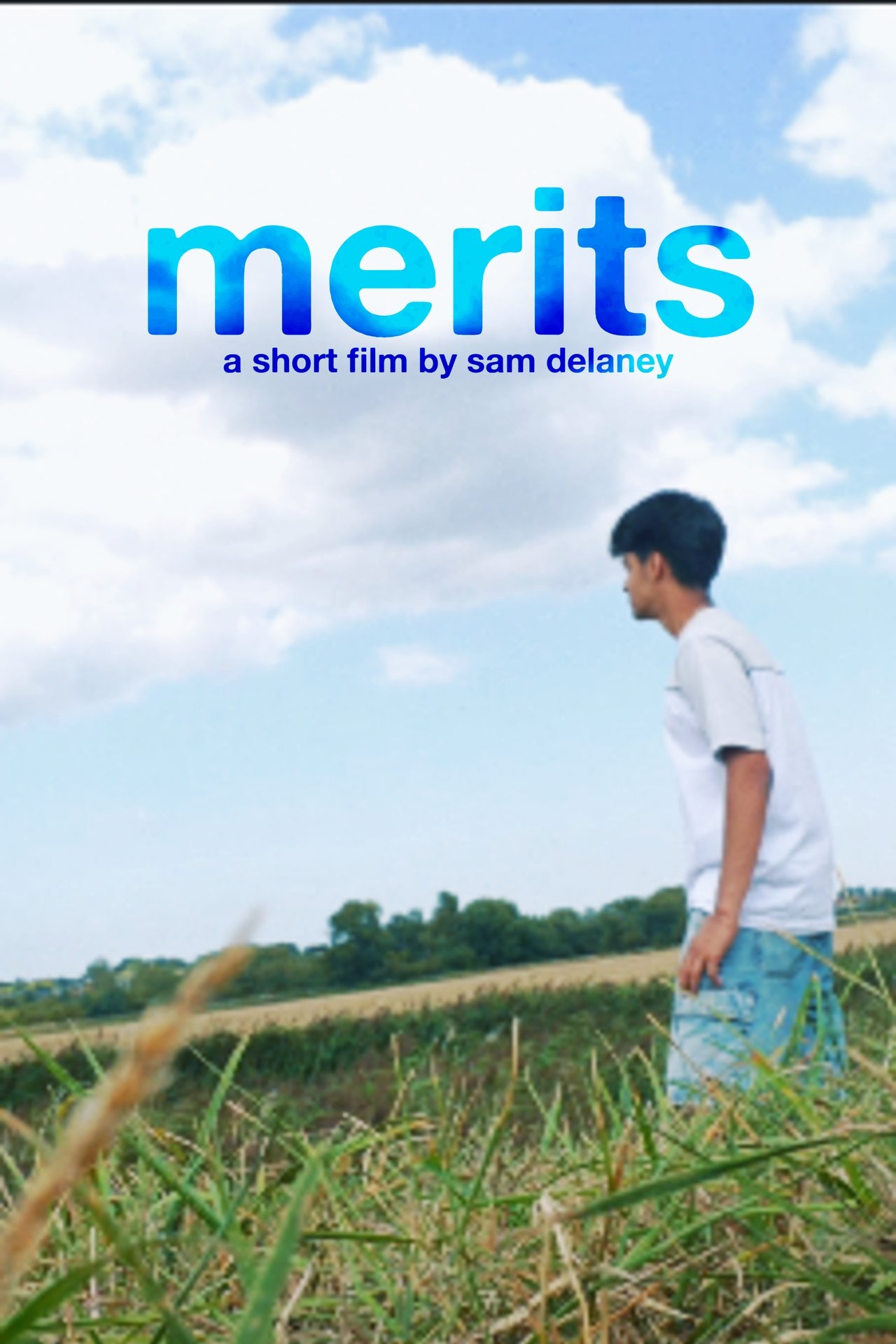 Merits