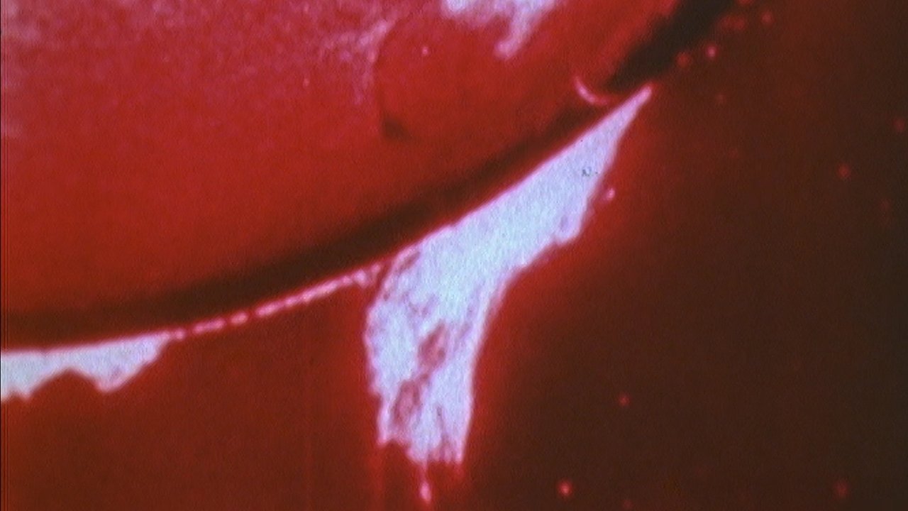 Sonnenstube backdrop