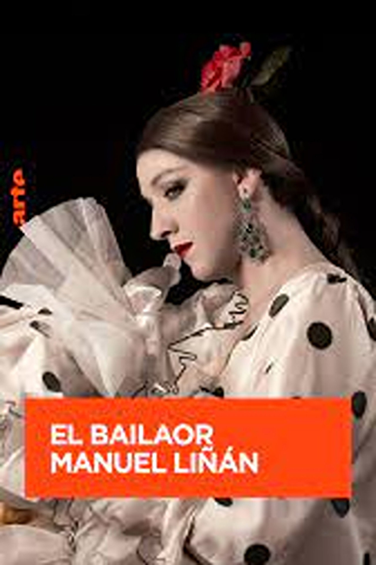 Flamenco der besonderen Art - Der Tänzer Manuel Linan filmaffisch