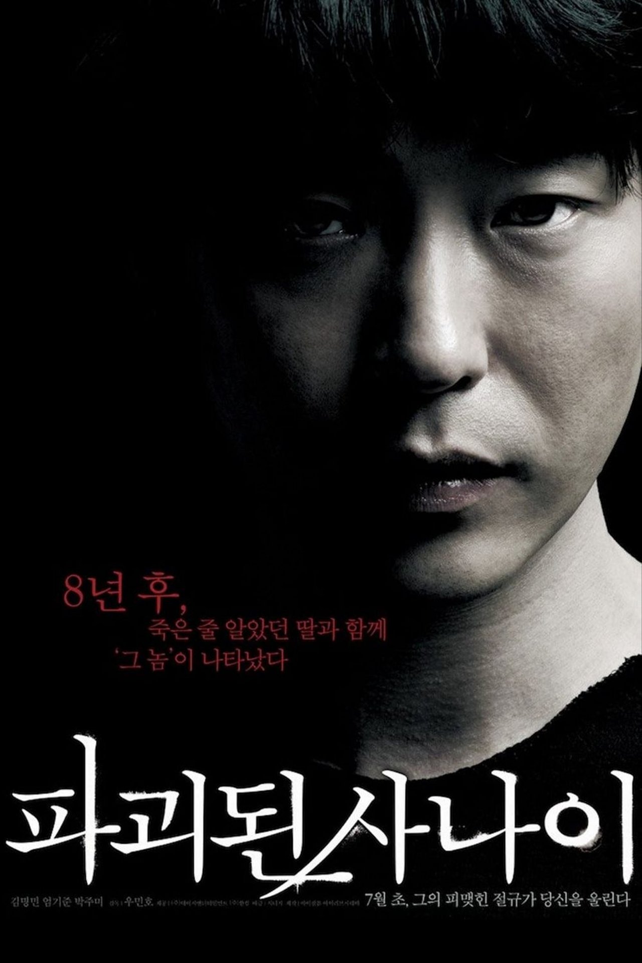 Man Of Vendetta poster