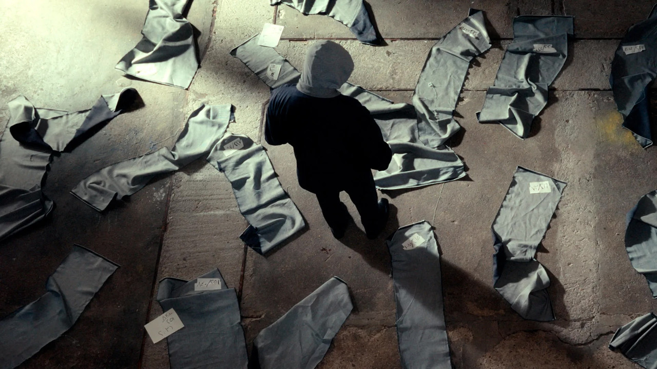 Immagine di copertina del trailer di Les Ames perdues