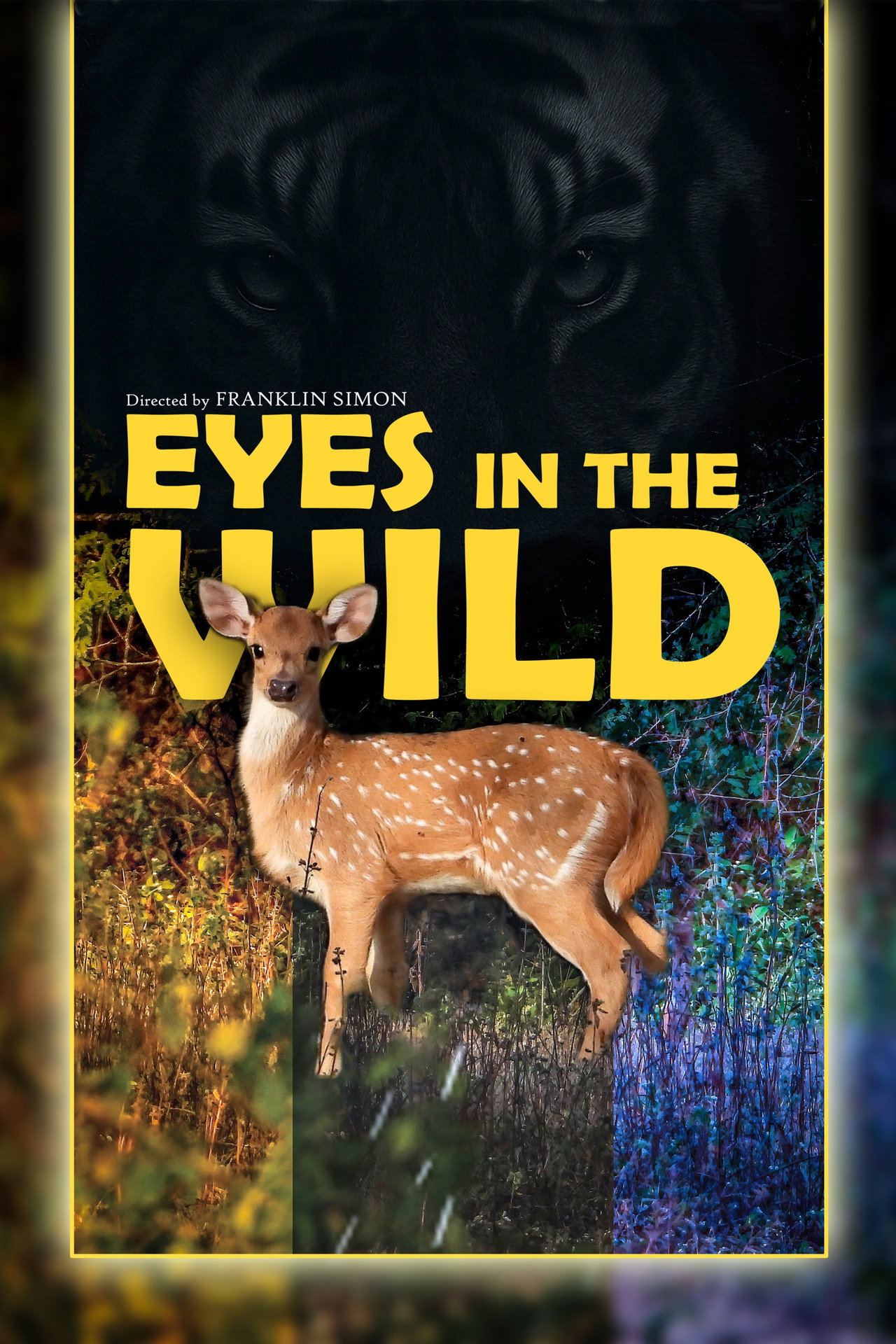 Eyes in the wild poster