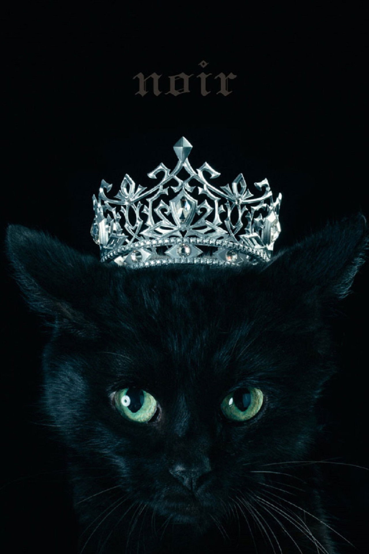 Aimer: Best Selection "noir" (Limited Edition Bonus) Backdrop