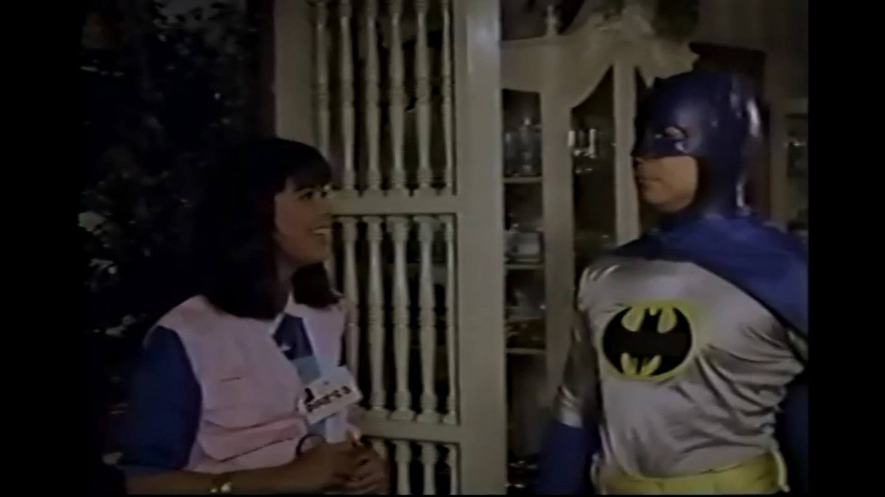 Alias Batman and Robin backdrop