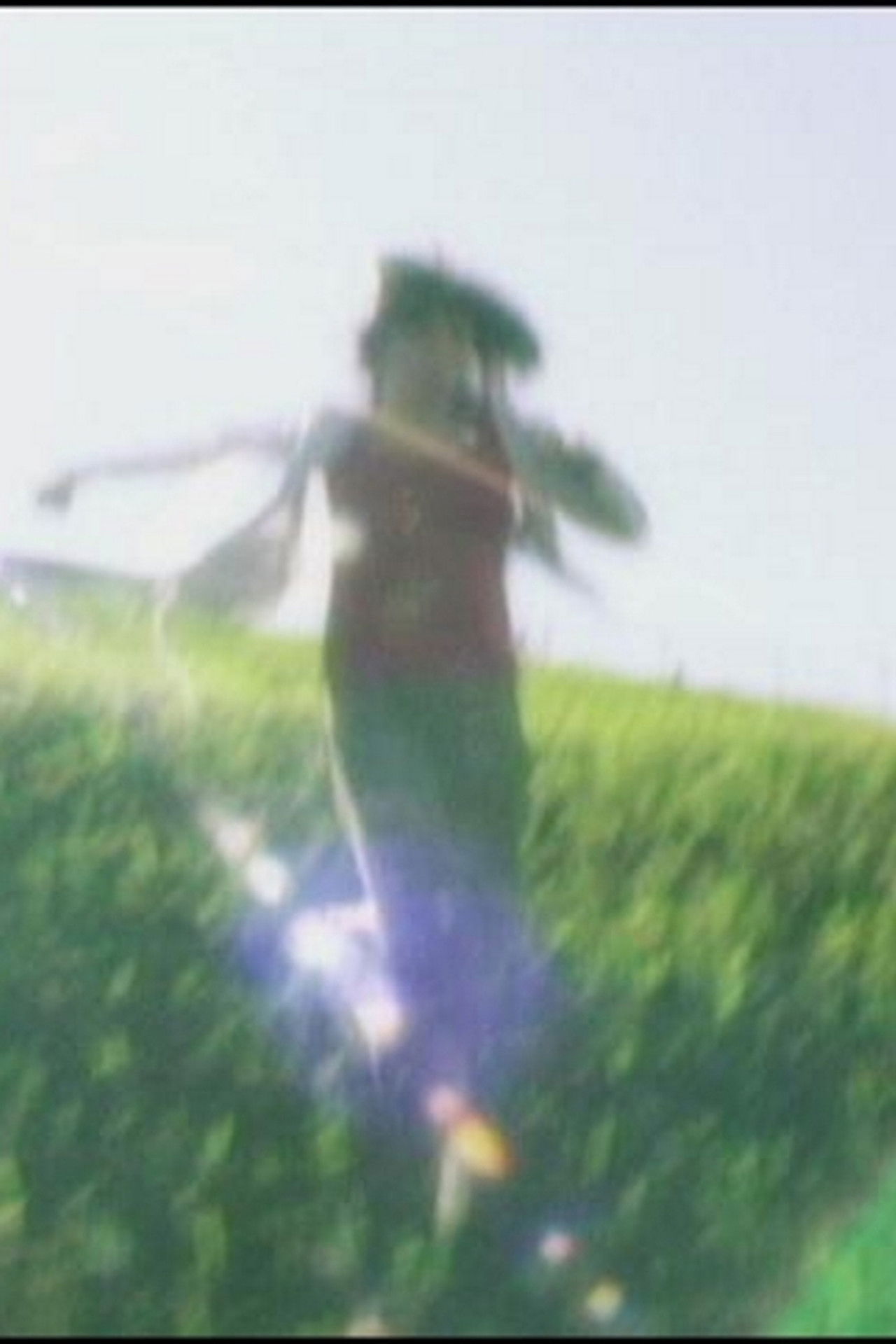 Wonderland in the Negative Backdrop