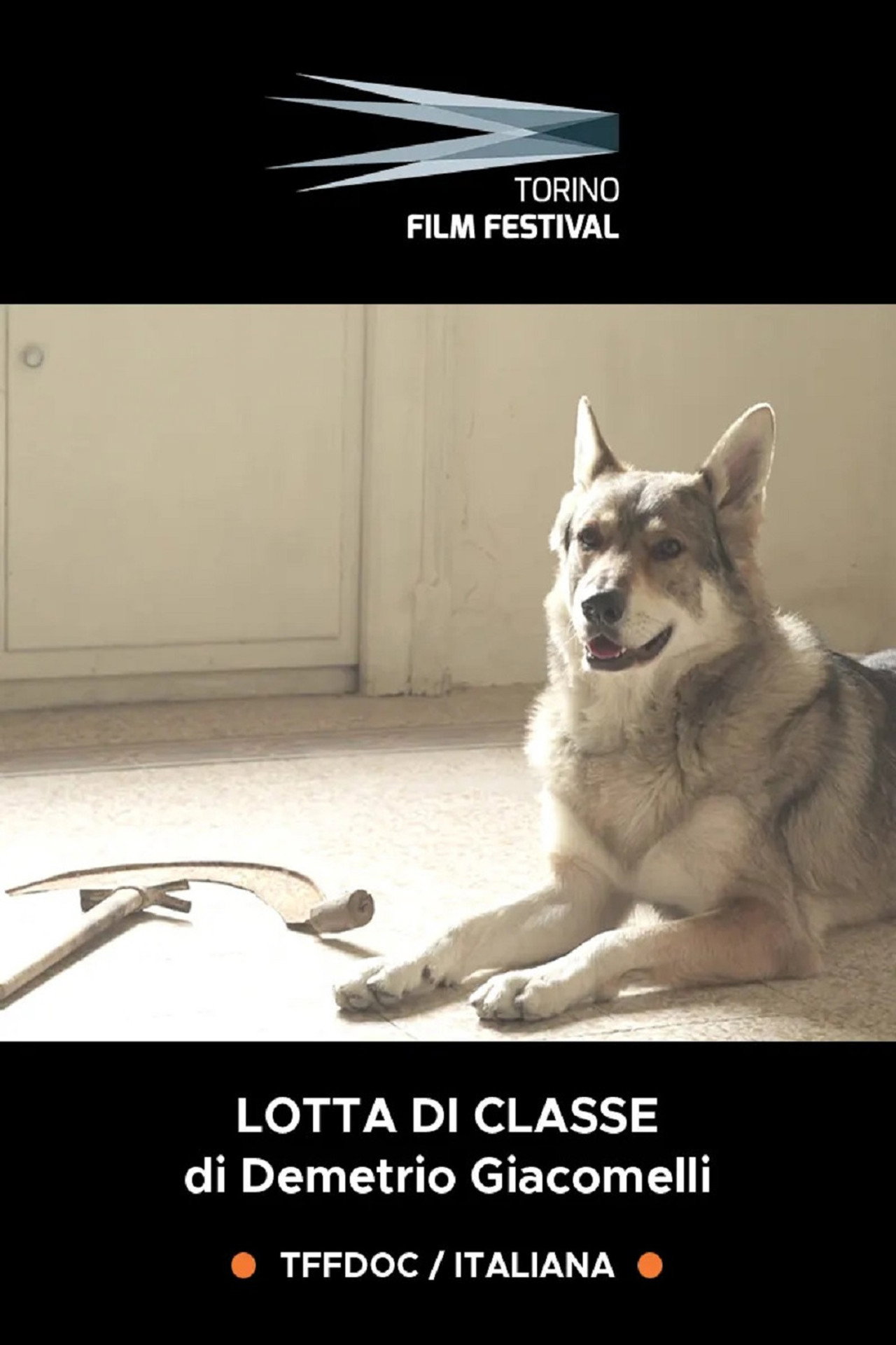 Lotta di Classe - Il cinema dei ragazzi di Emilio Sidoti