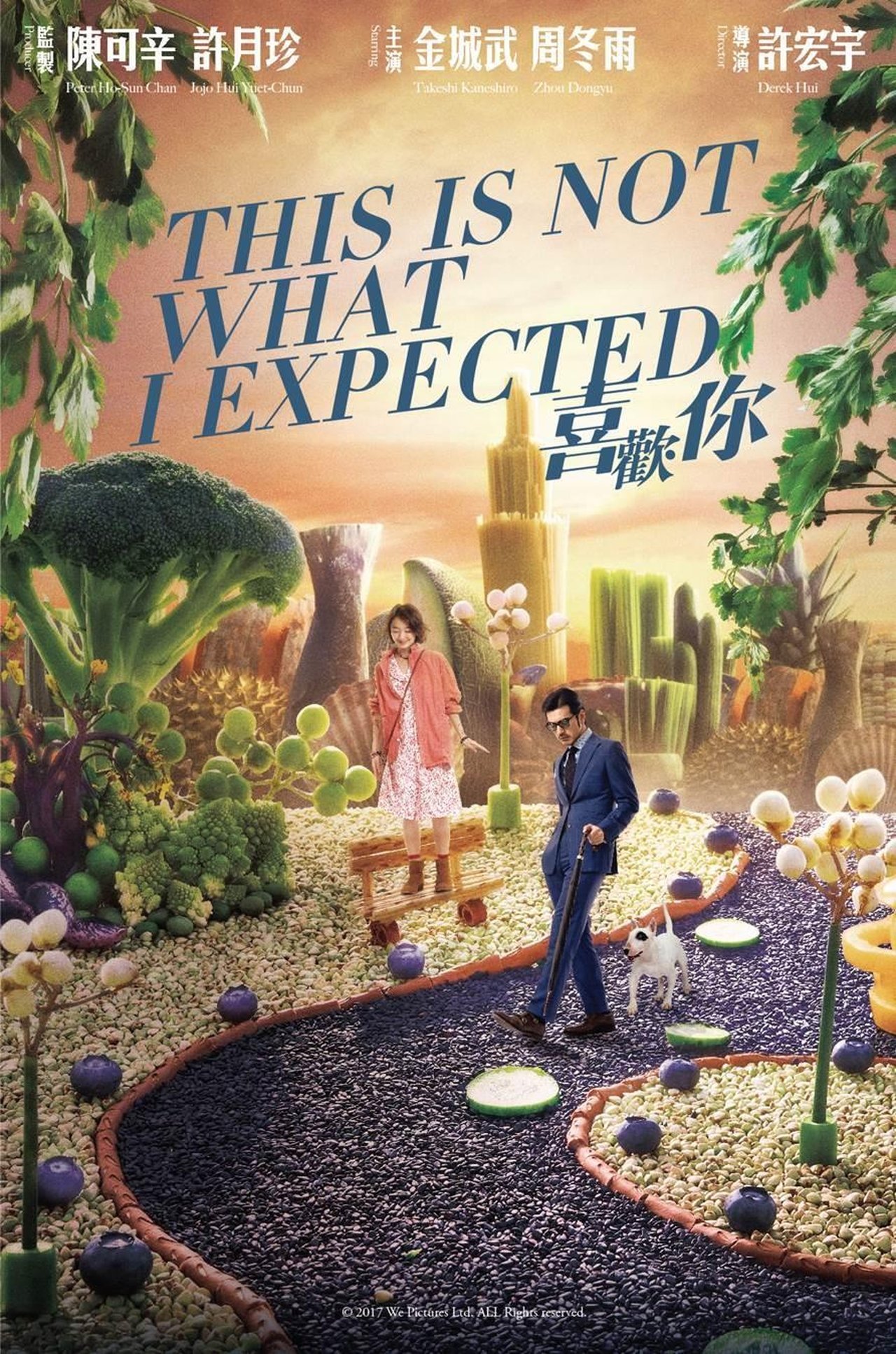 This Is Not What I Expected ( 2017 ) This Is Not What I Expected ( 2017 )