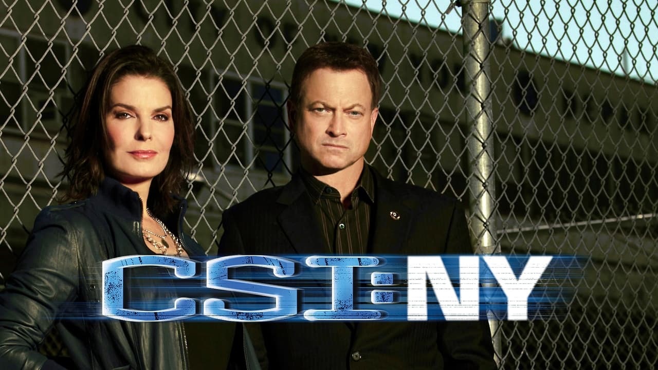 CSI: NY - Season 6 Episode 17 : Pot of Gold